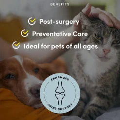 Pet Recovery Extra Strength Advanced Mobility Formula Powder Pet Supplement