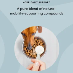 Pet Recovery Extra Strength Advanced Mobility Formula Powder Pet Supplement