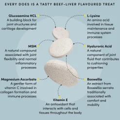 Pet Recovery Extra Strength Advanced Mobility Formula Beef Liver Flavoured Pet Supplements