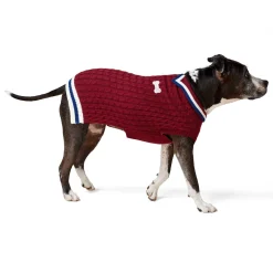 Peter Pan Knit Maroon Sweater