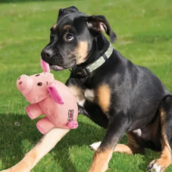Phatz Pig Dog Toy