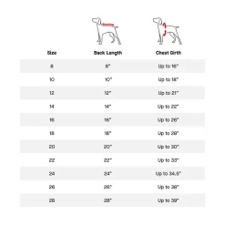 Pick Me Froggy Poncho