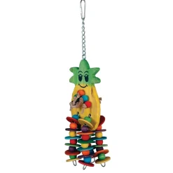 Pineapple Bird Toy