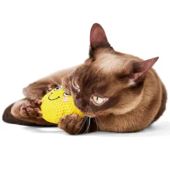 Pineapple Dental Cat Toy