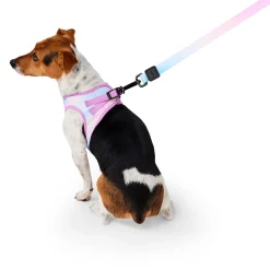 Pink Tie Dye Dog Leash