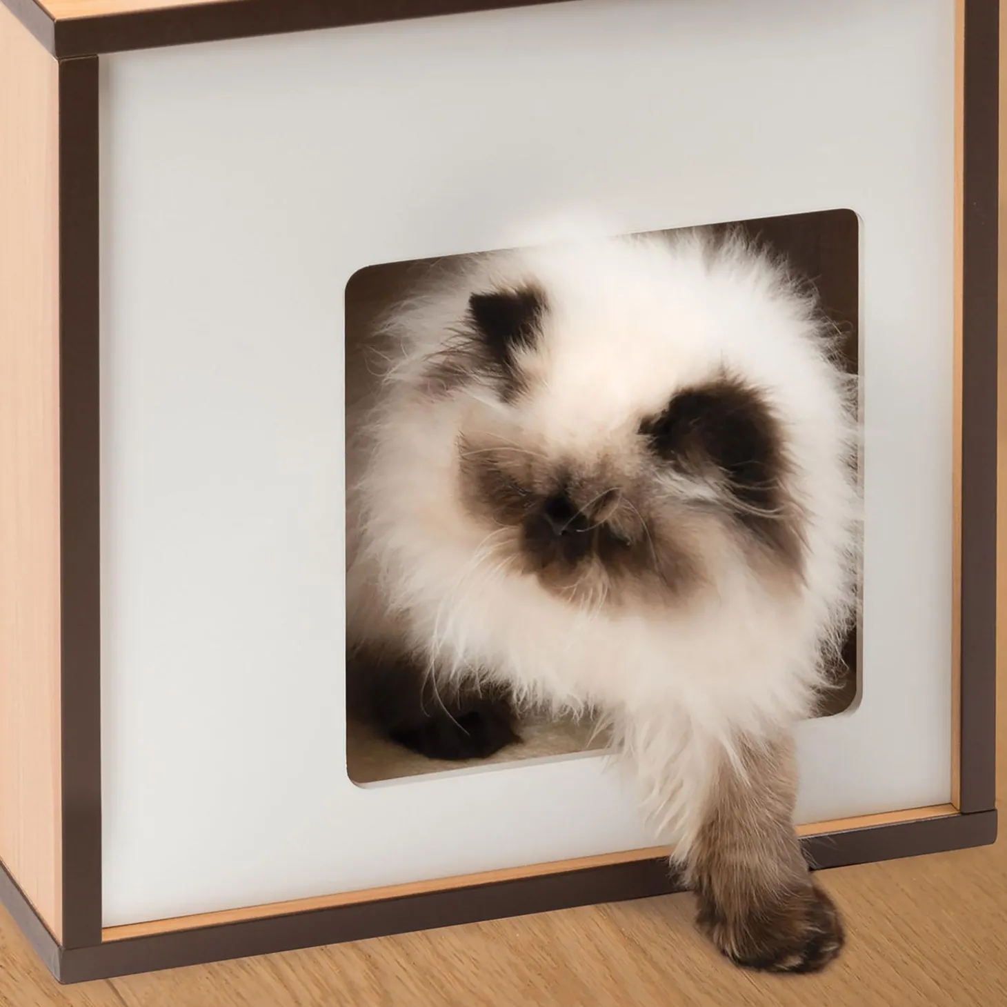 PIXI Small Vesper Box Walnut Cat Tree