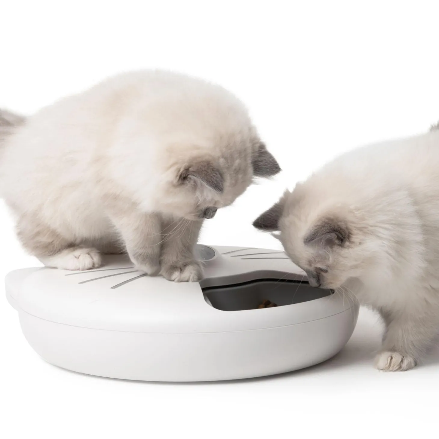 PIXI Smart 6-Meal Feeder