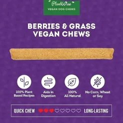 Plant Wise Vegan Chews Miscanthus Grass & Berry Recipe Medium Dog Treats