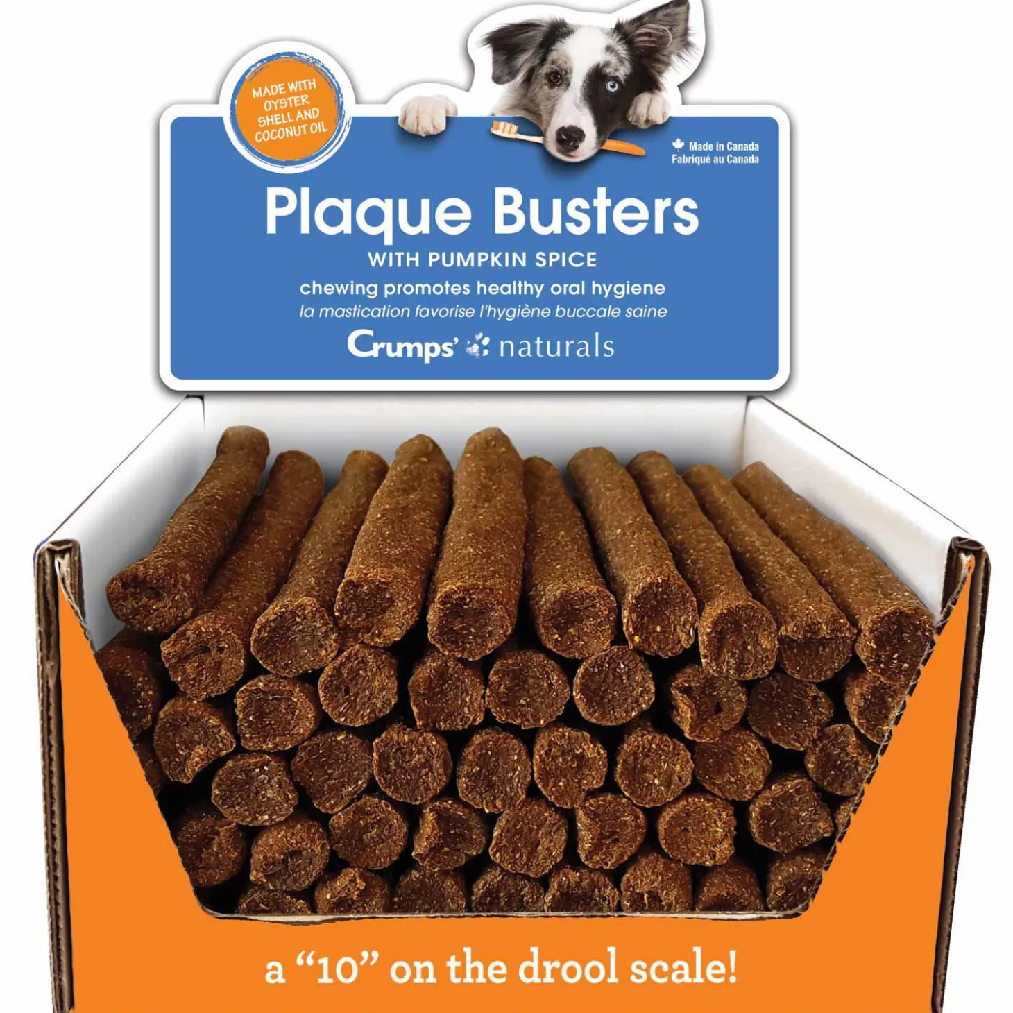 Plaque Busters Pumpkin Spice Dental Sticks Dog Treats