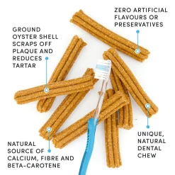 Plaque Busters Pumpkin Spice Dental Sticks Dog Treats