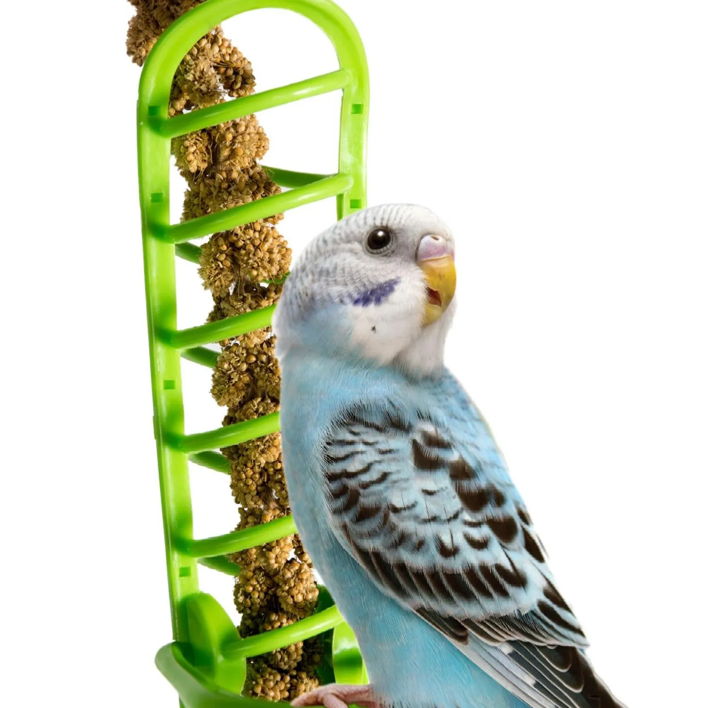 Plastic Millet Holder