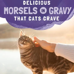 Platefulls Chicken & Chicken Liver Recipe Adult Cat Food