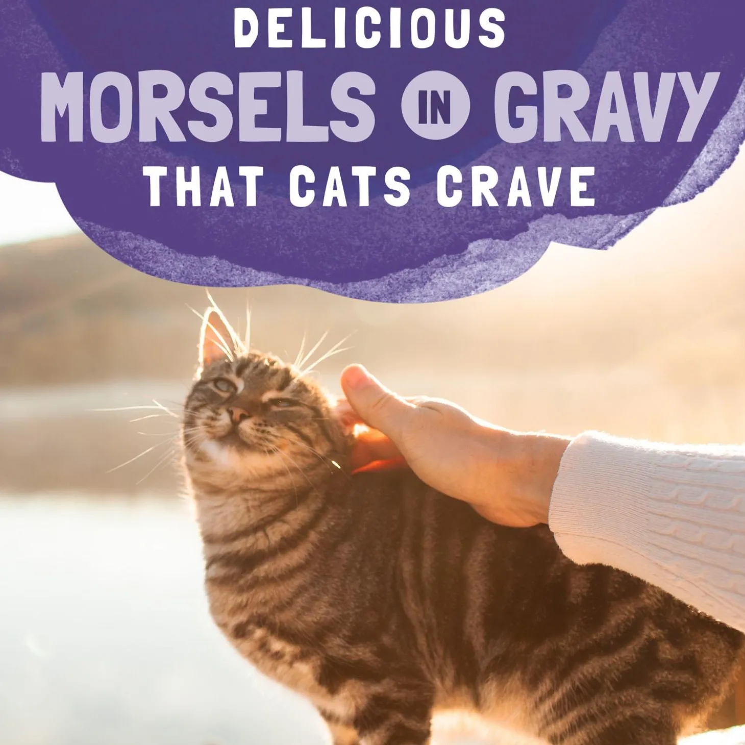 Platefulls Chicken & Chicken Liver Recipe Adult Cat Food