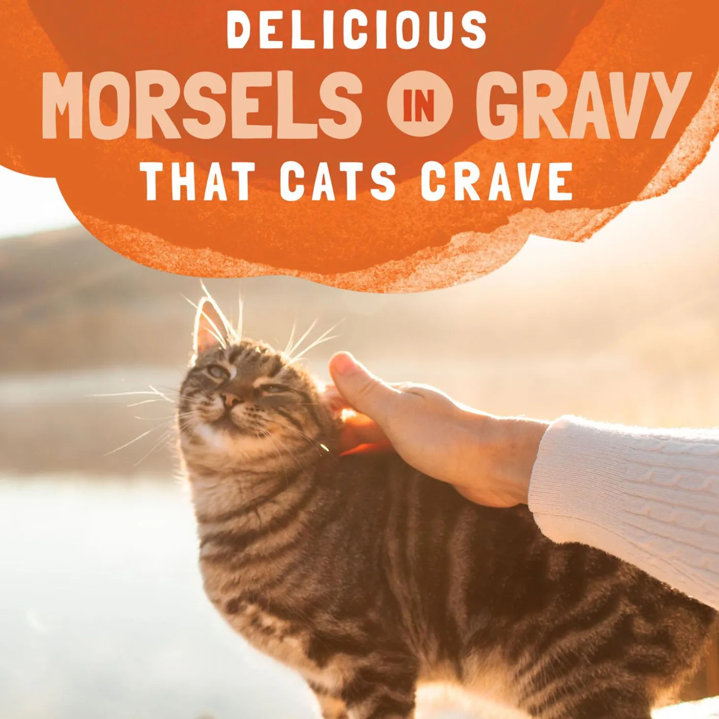 Platefulls Turkey, Chicken & Duck Recipe Adult Cat Food