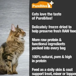 Plus Skin & Coat Cat Treats