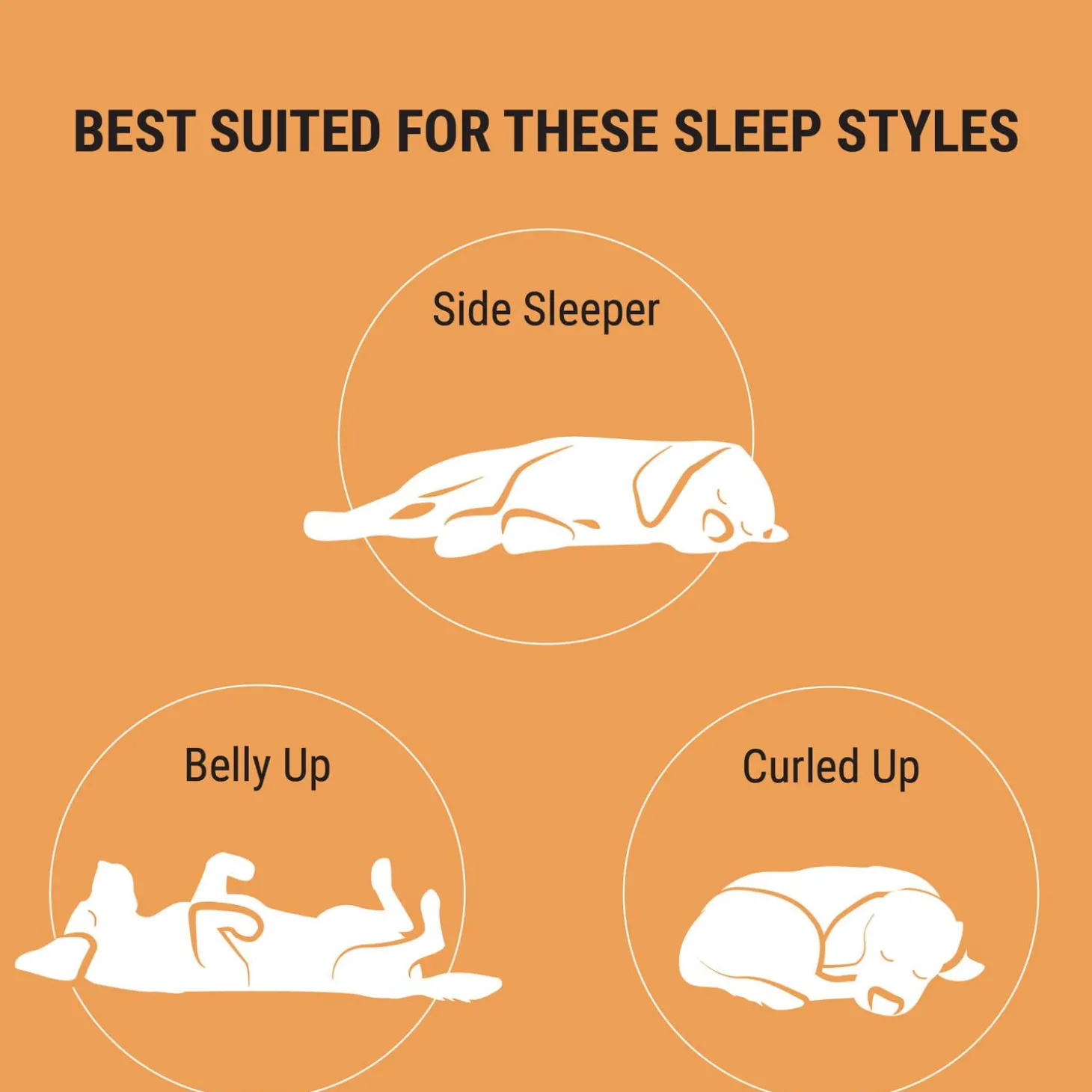 Plush Bolster Bed Brown