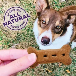 P-Nuttier Large Dog Treats