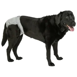 PoochPants Reusable Diaper