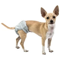 PoochPants Reusable Diaper