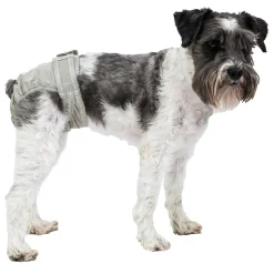PoochPants Reusable Diaper