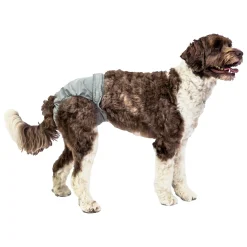 PoochPants Reusable Diaper