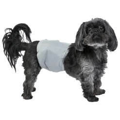 PoochPants Reusable Male Wrap