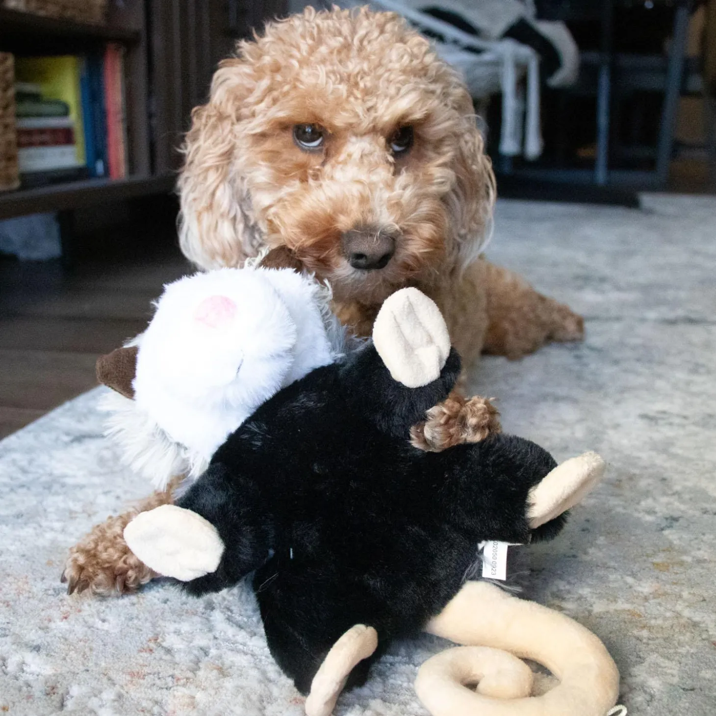 Possum Rope Body Dog Toy