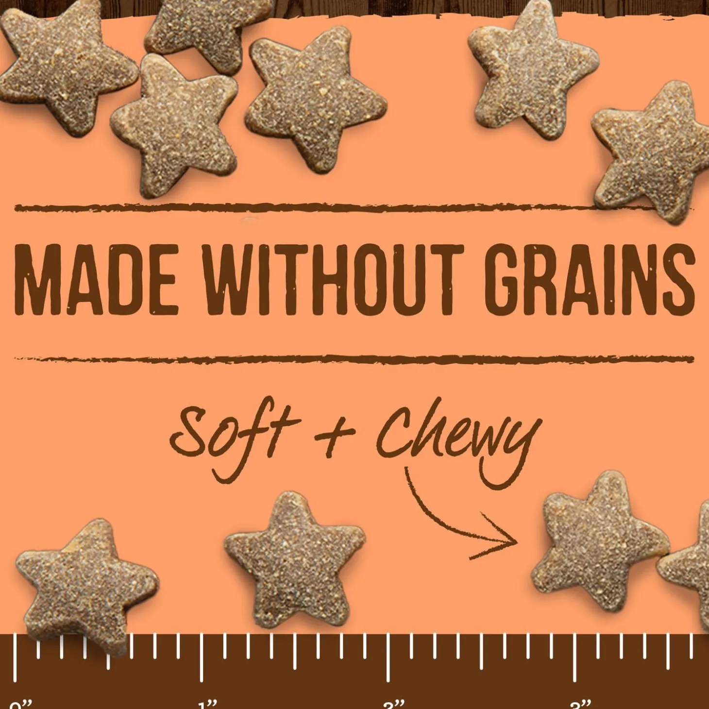 Power Bites Real Salmon Recipe Dog Treats