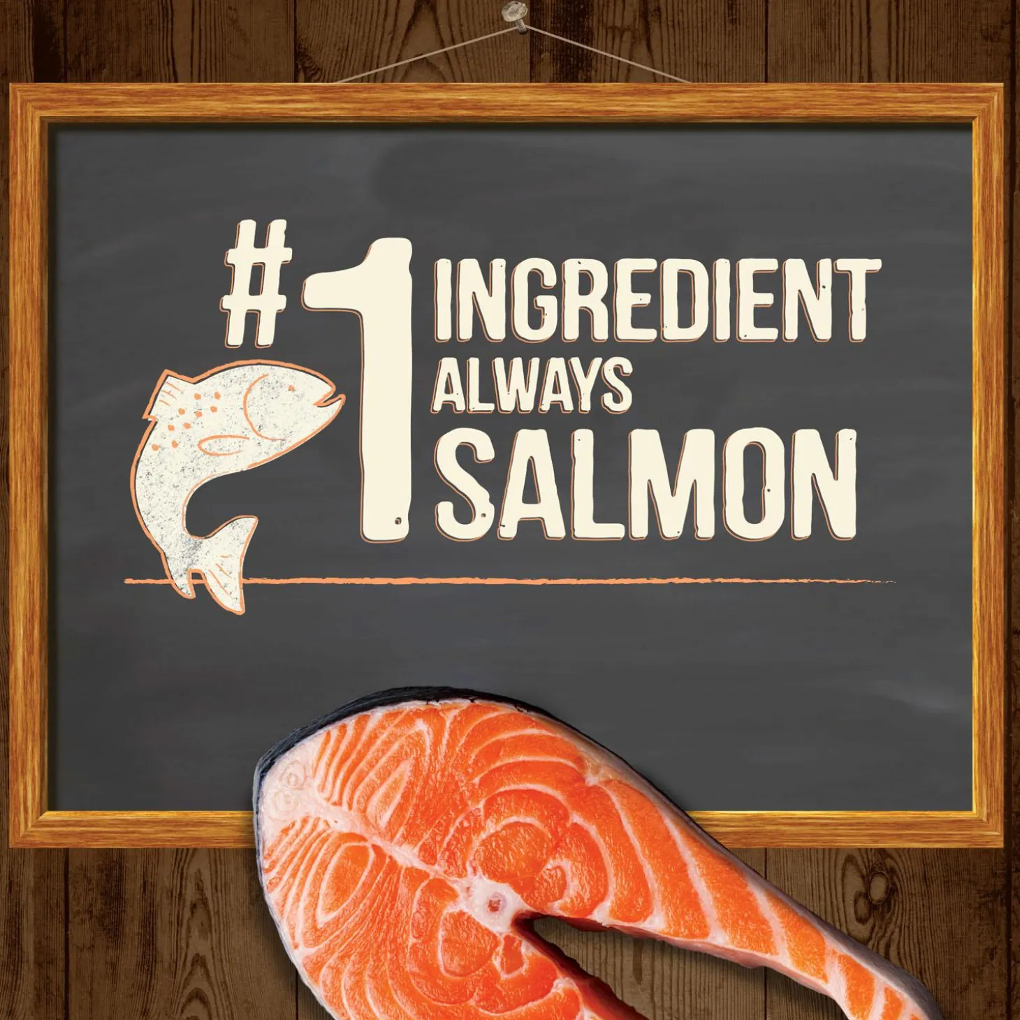 Power Bites Real Salmon Recipe Dog Treats