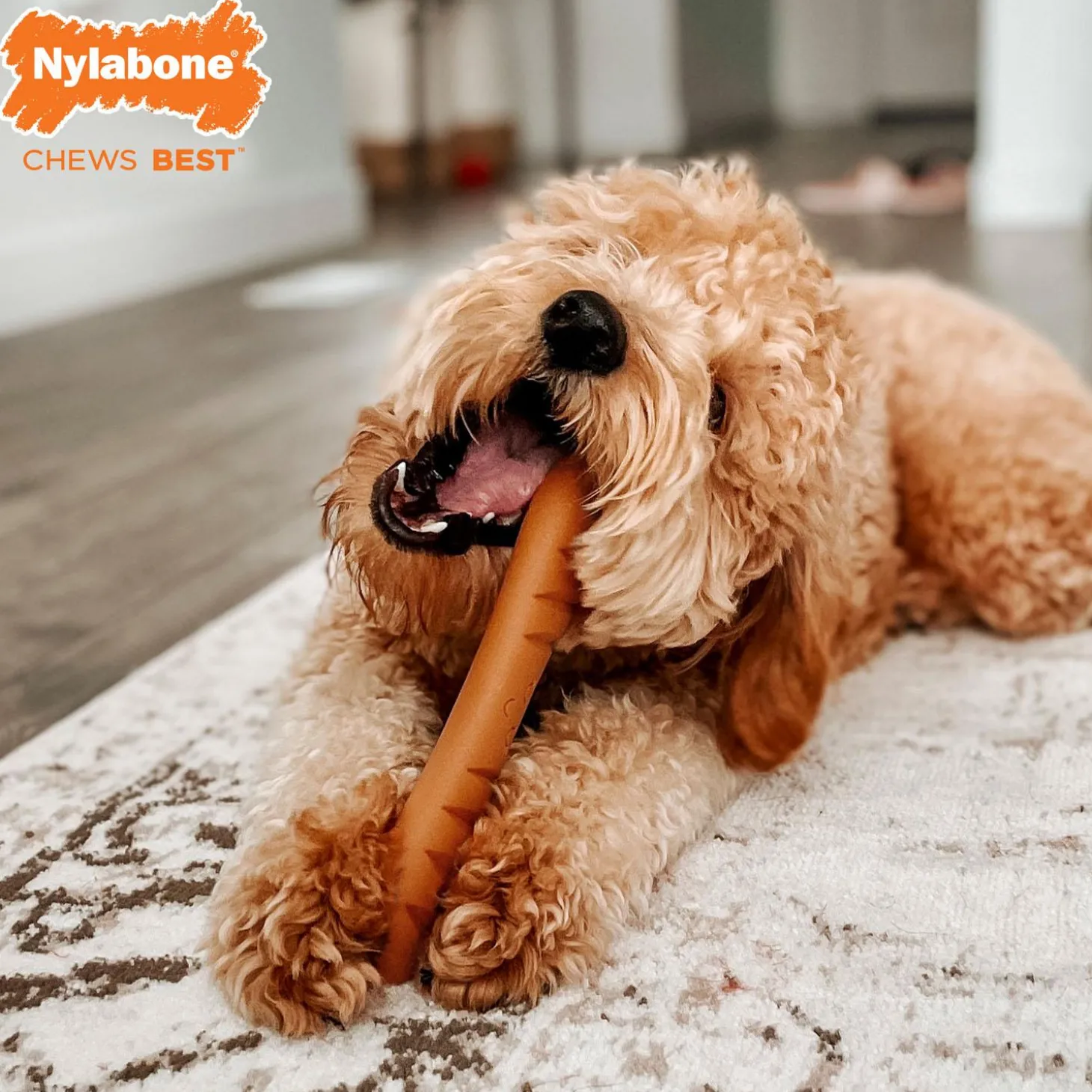 Power Chew Chicken Flavour Baguette Dog Toy