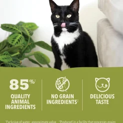 Premium Pate Chicken Recipe Adult Cat Food