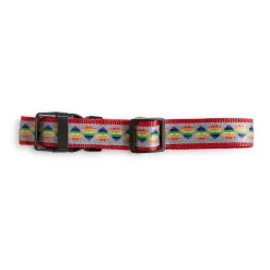 Pride Collar Rainbow