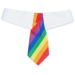 Pride Collar Tie