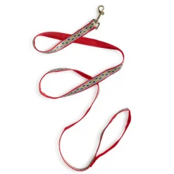 Pride Leash 5/8in Rainbow