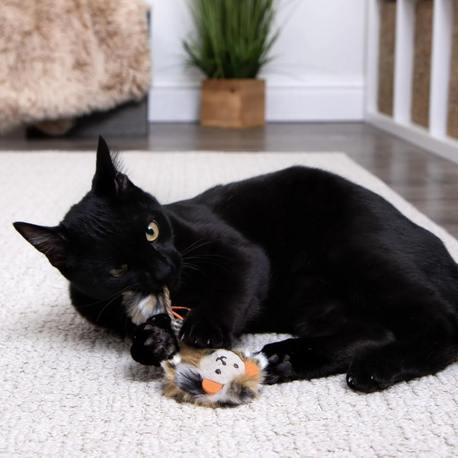 Prideful Player Cat Toy