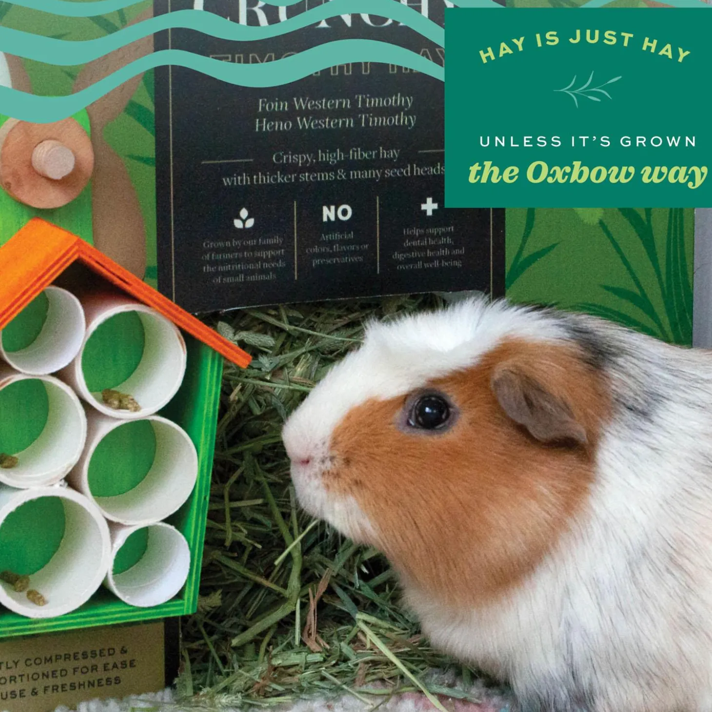 Prime Cut Hearty & Crunchy Timothy Hay