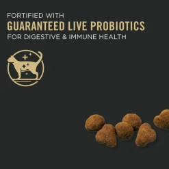 Prime Plus Chicken & Rice Formula Senior Cat Food