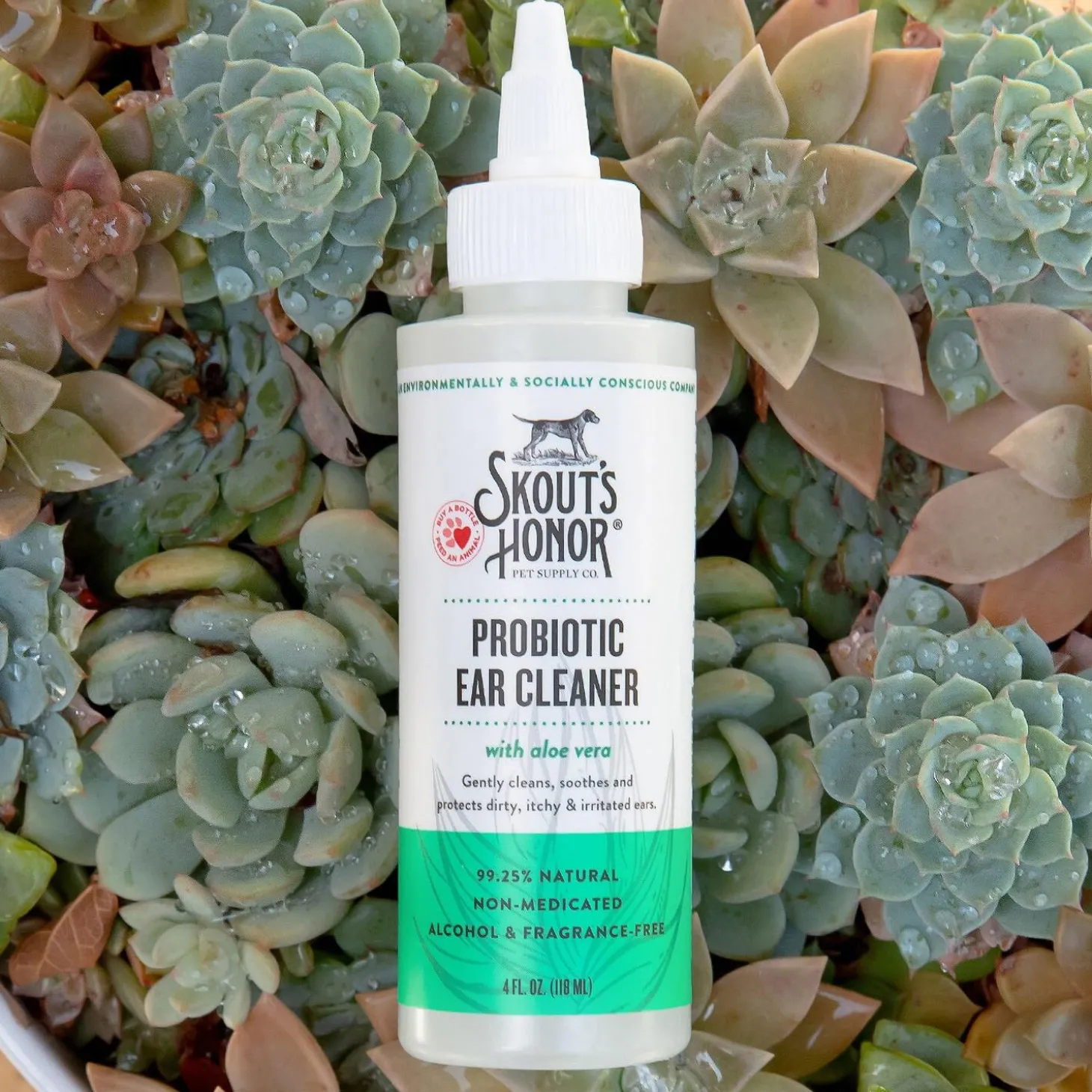 Probiotic with Aloe Vera Ear Cleaner