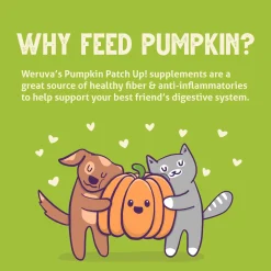 Pumpkin Patch Up! Pureed Pumpkin for Dogs & Cats
