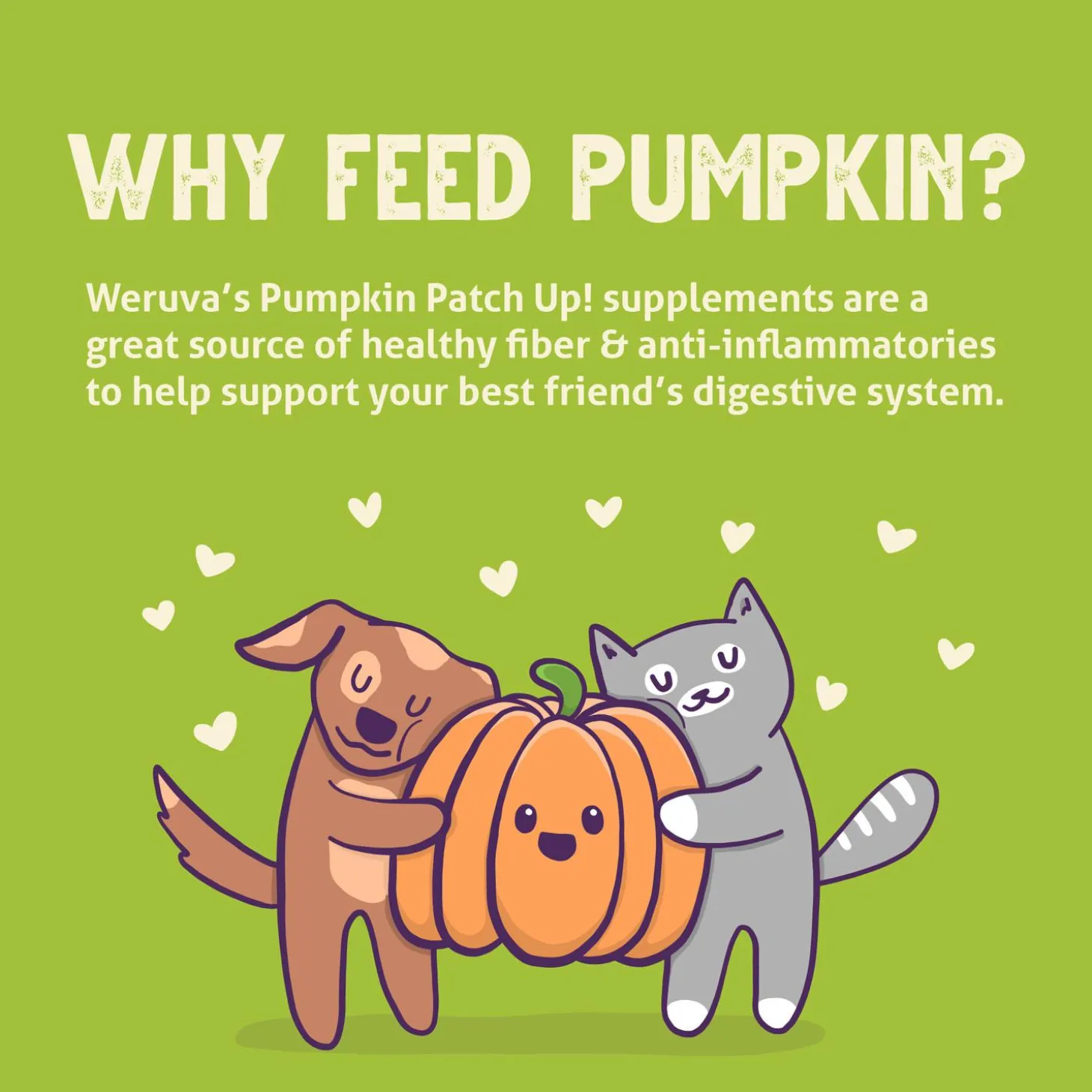 Pumpkin Patch Up! Pureed Pumpkin for Dogs & Cats