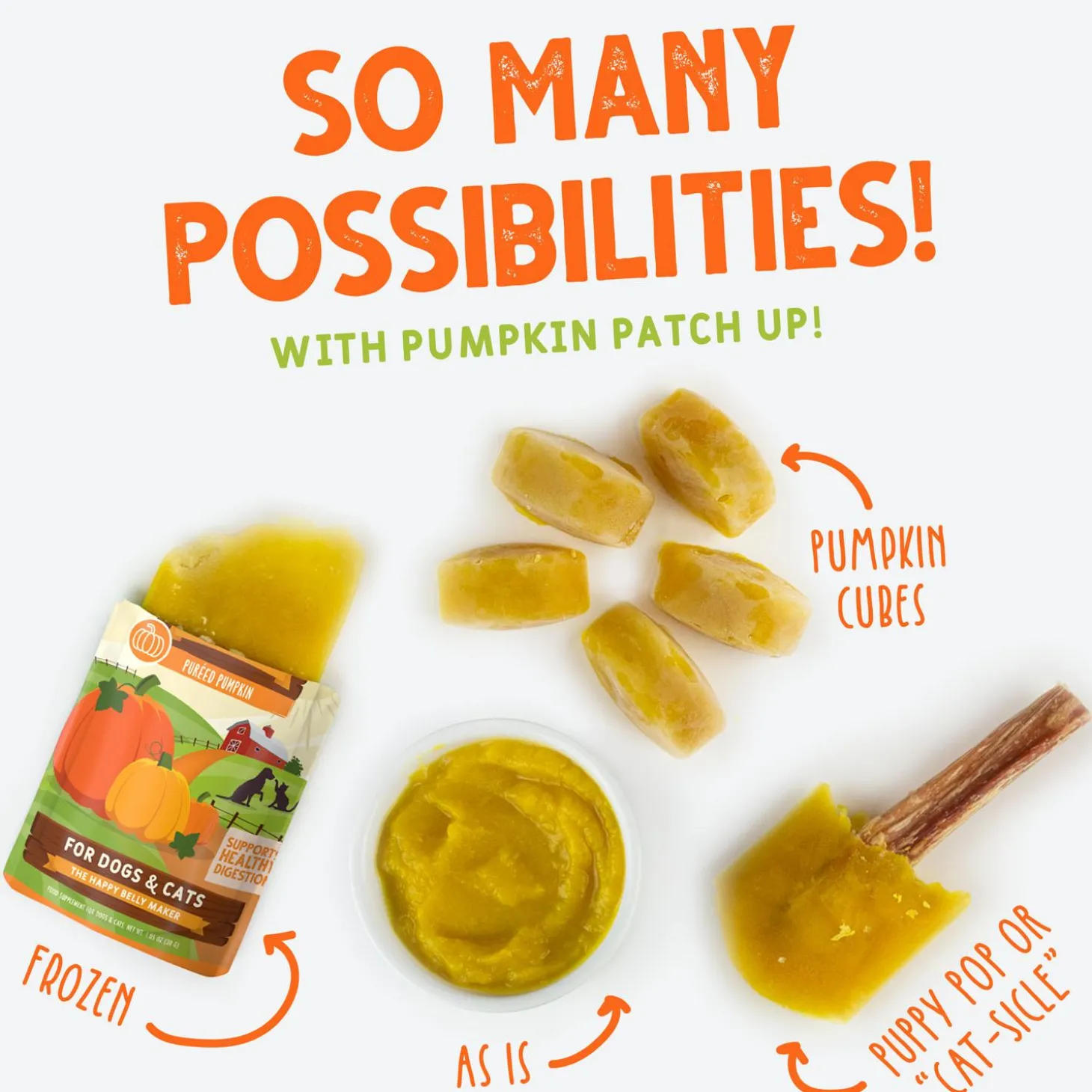 Pumpkin Patch Up! Pureed Pumpkin for Dogs & Cats