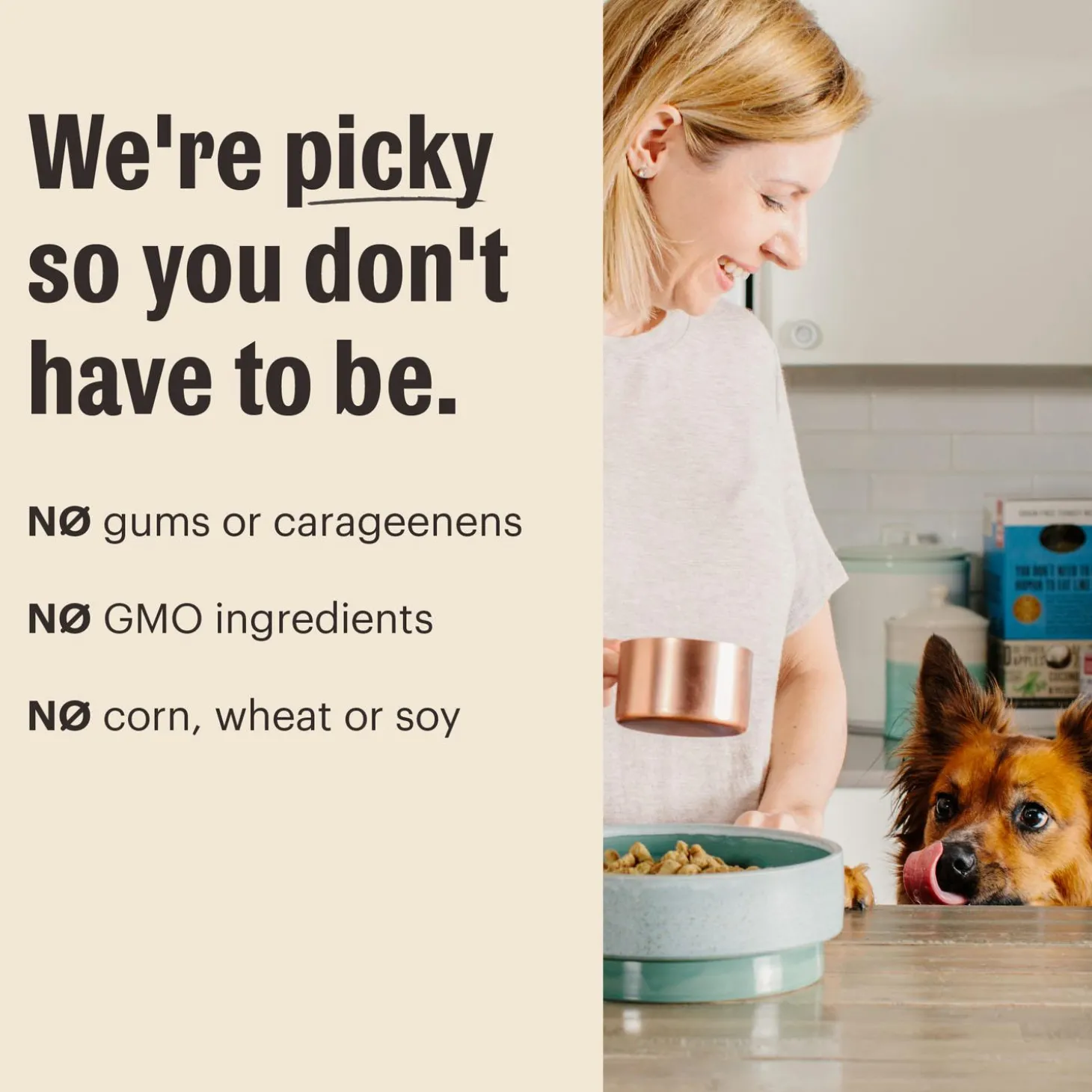 Pumpkin Pour Overs Turkey & Pumpkin Stew Dog Food Topper