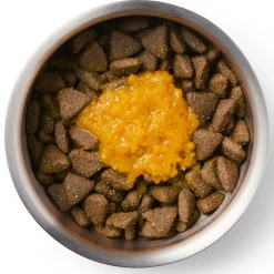 Pumpkin Puree Dog & Cat Supplement