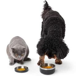 Pumpkin Puree Dog & Cat Supplement