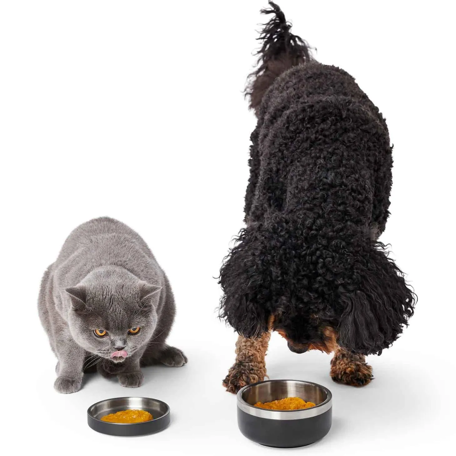 Pumpkin Puree Dog & Cat Supplement