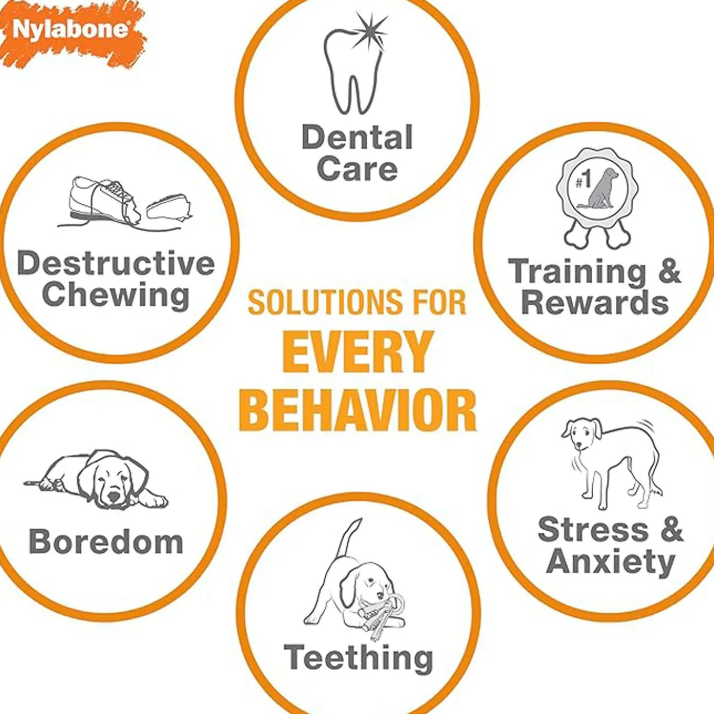 Puppy Chew Chicken Flavour Bone Dog Toy