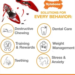 Puppy Chew Chicken Flavour Bone Blue Dog Toy