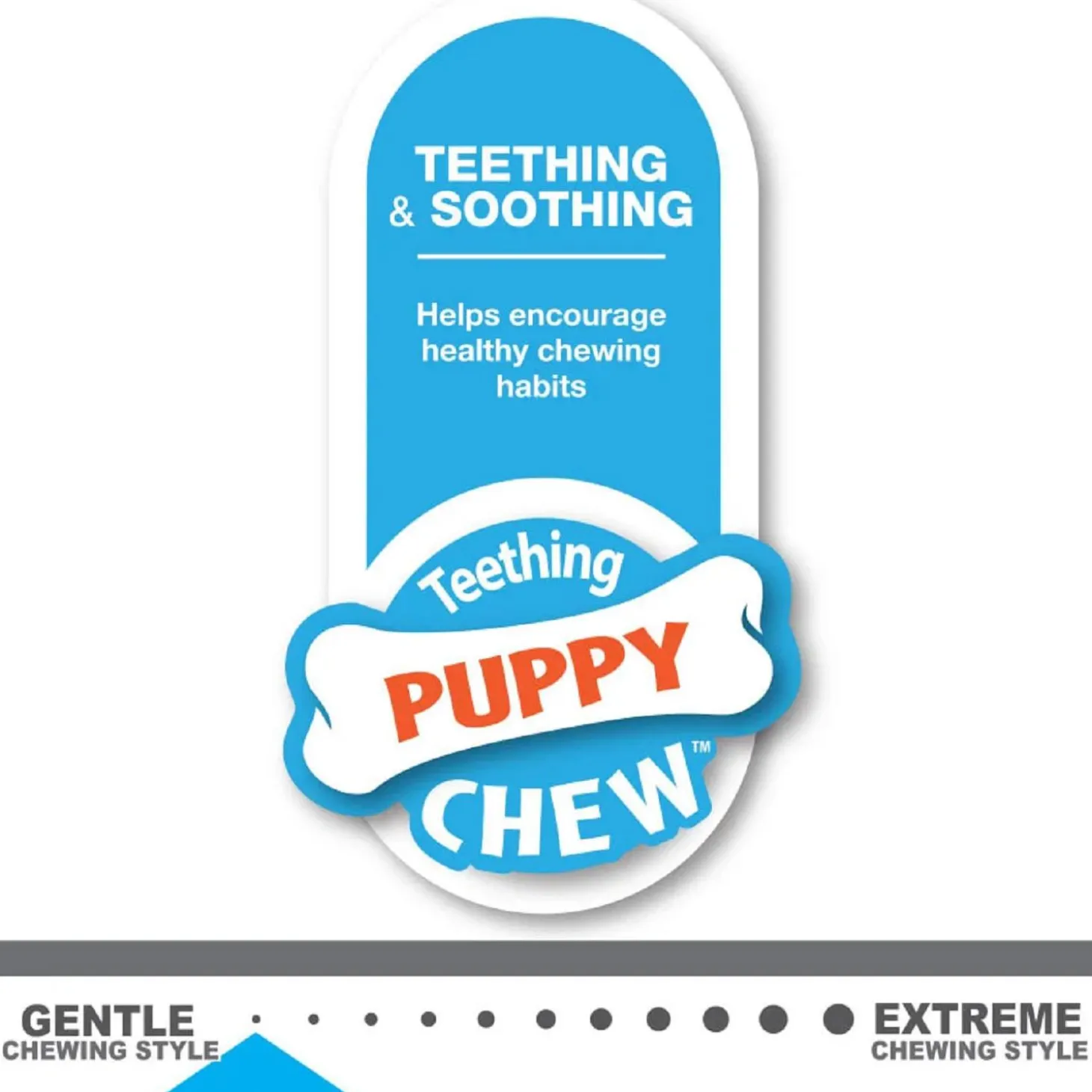 Puppy Chew Chicken Flavour Bone Blue Dog Toy