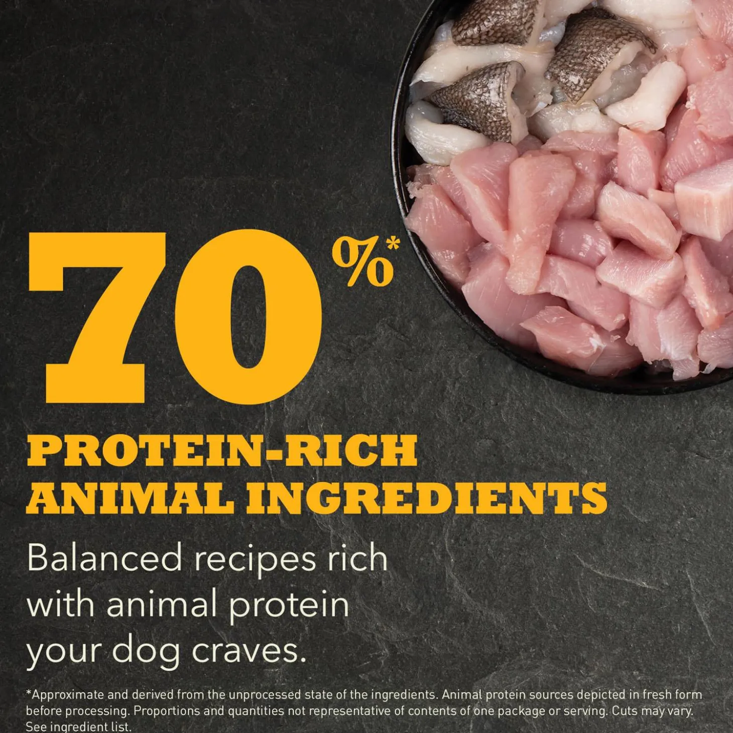 Puppy Recipe Dog Food