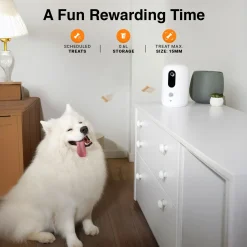Purechew Snack Automatic Pet Treat Dispenser